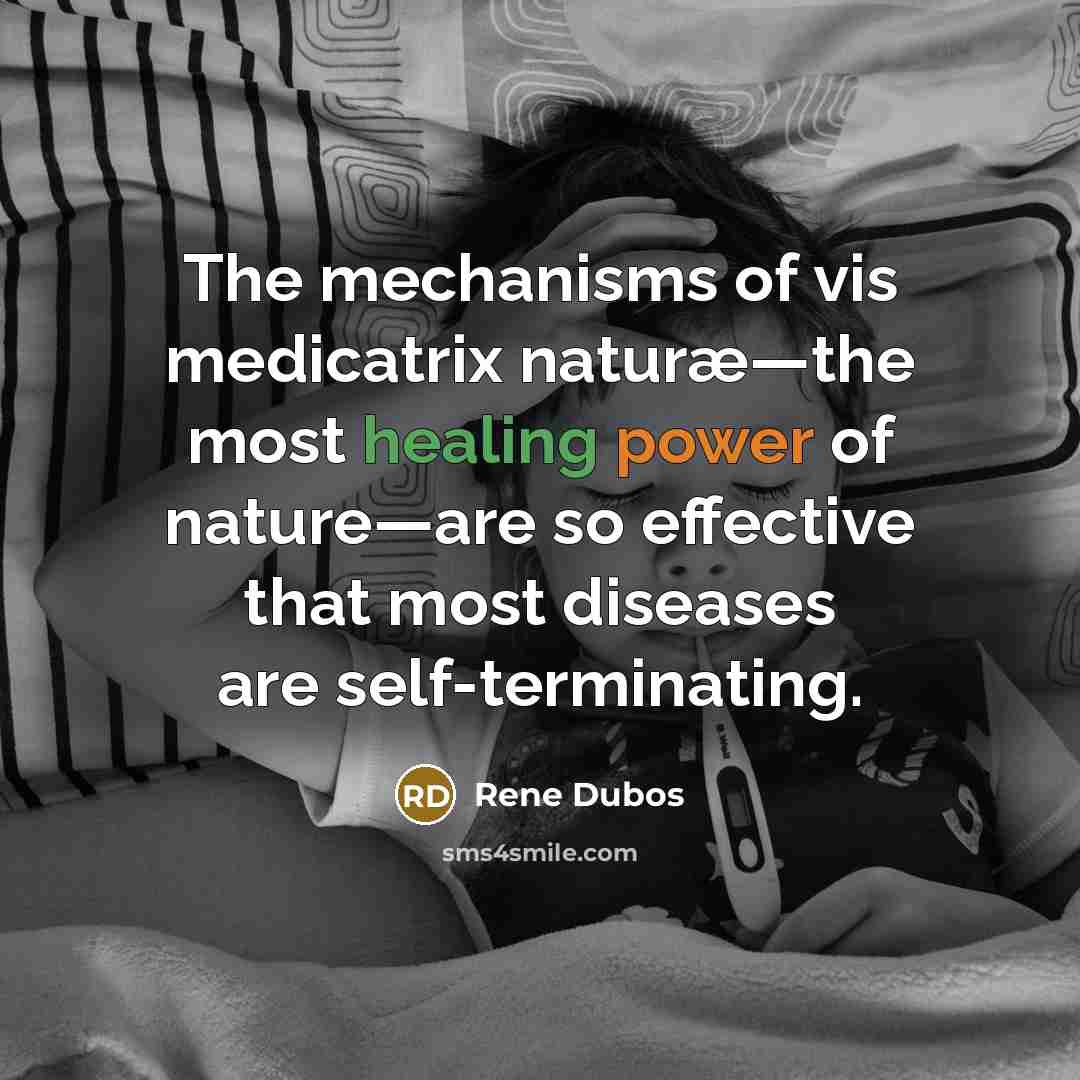 “The mechanisms of vis medicatrix naturæ—the most healing power of…” quote by Rene Dubos