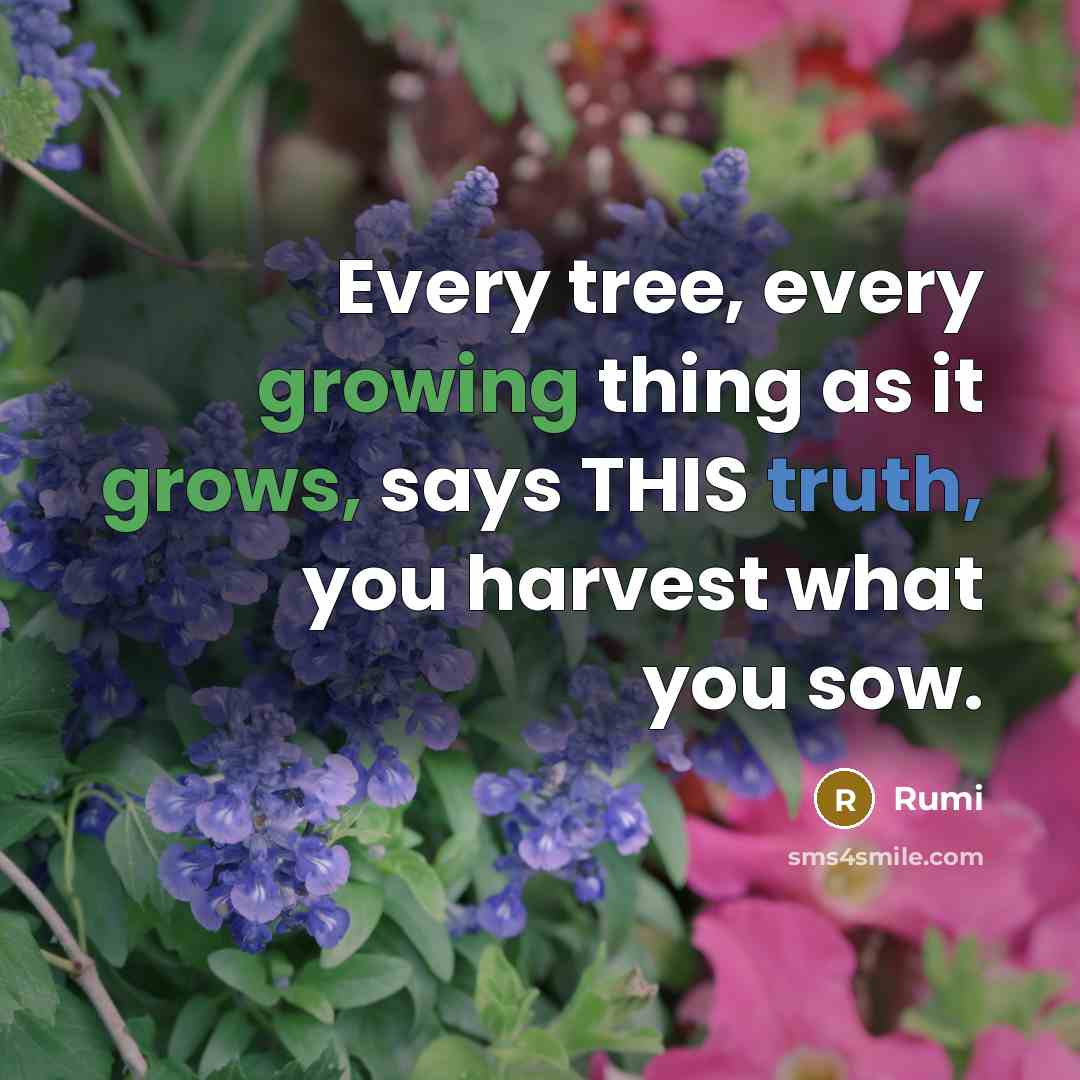 “Every tree, every growing thing as it grows, says THIS truth, you harvest what you sow.” quote by Rumi