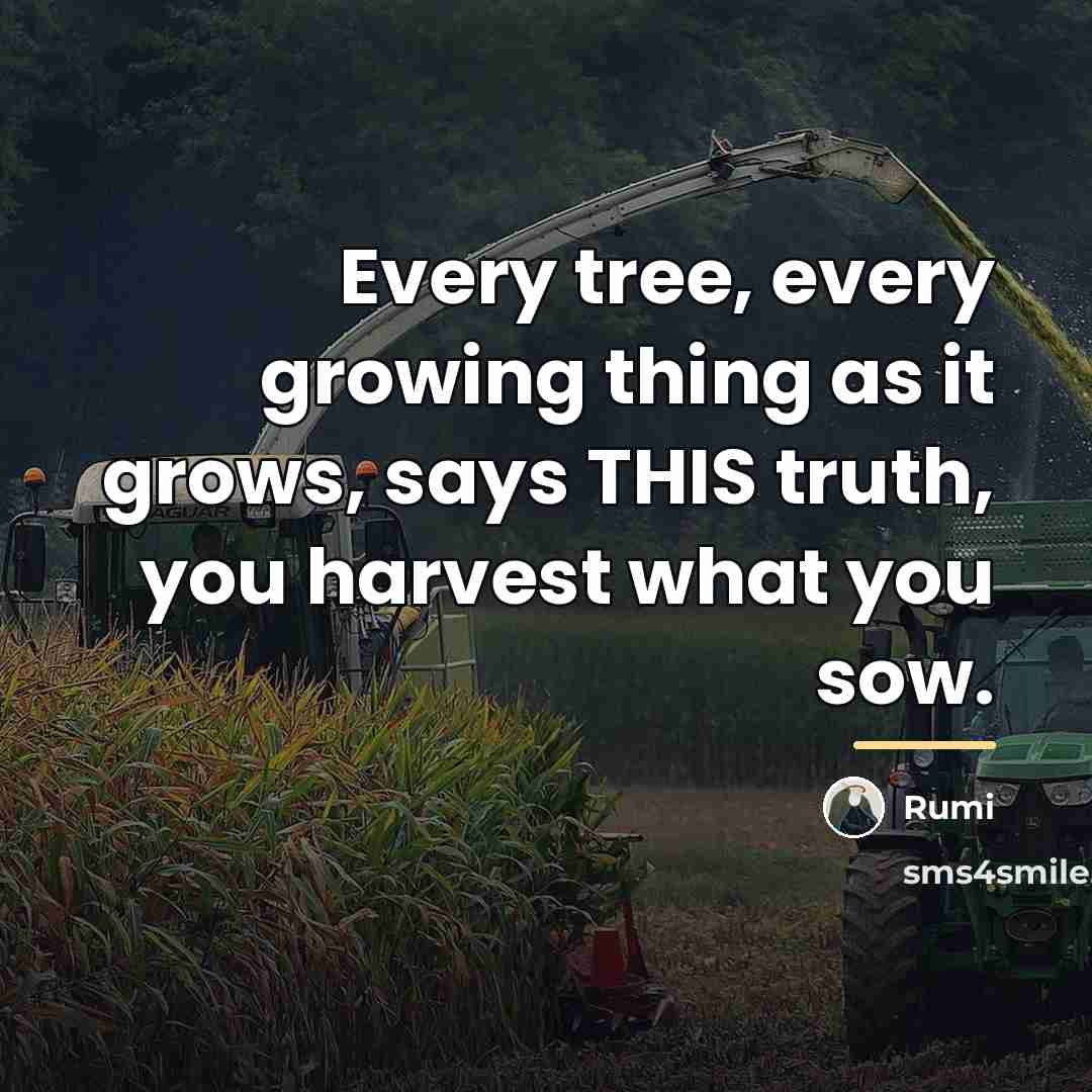 “Every tree, every growing thing as it grows, says THIS…” quote by Rumi