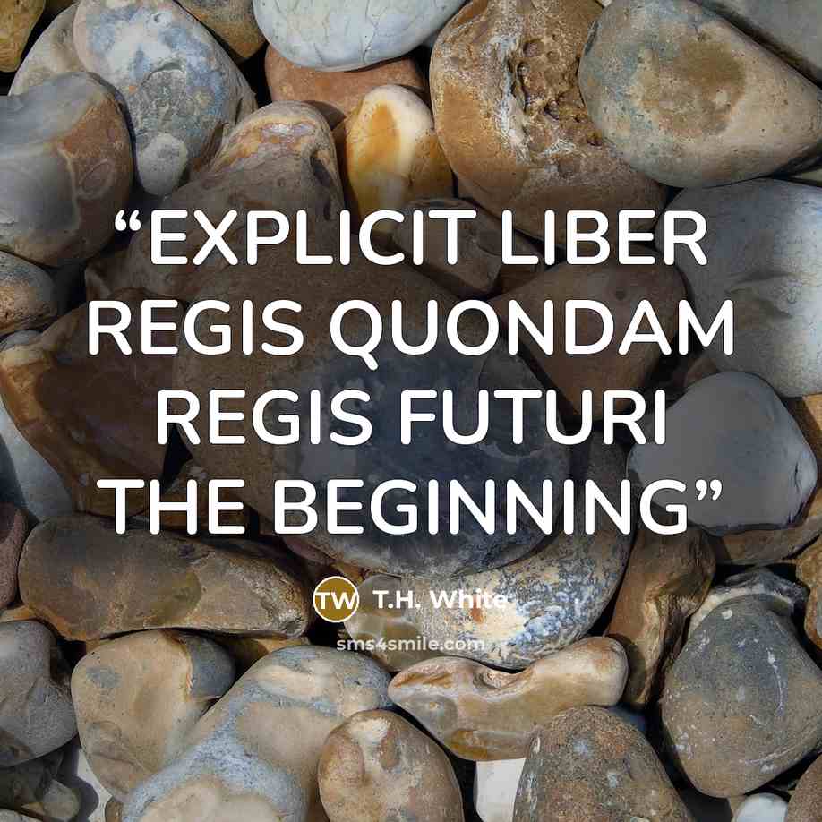 “EXPLICIT LIBER REGIS QUONDAM REGIS FUTURI THE BEGINNING” quote by T.H. White