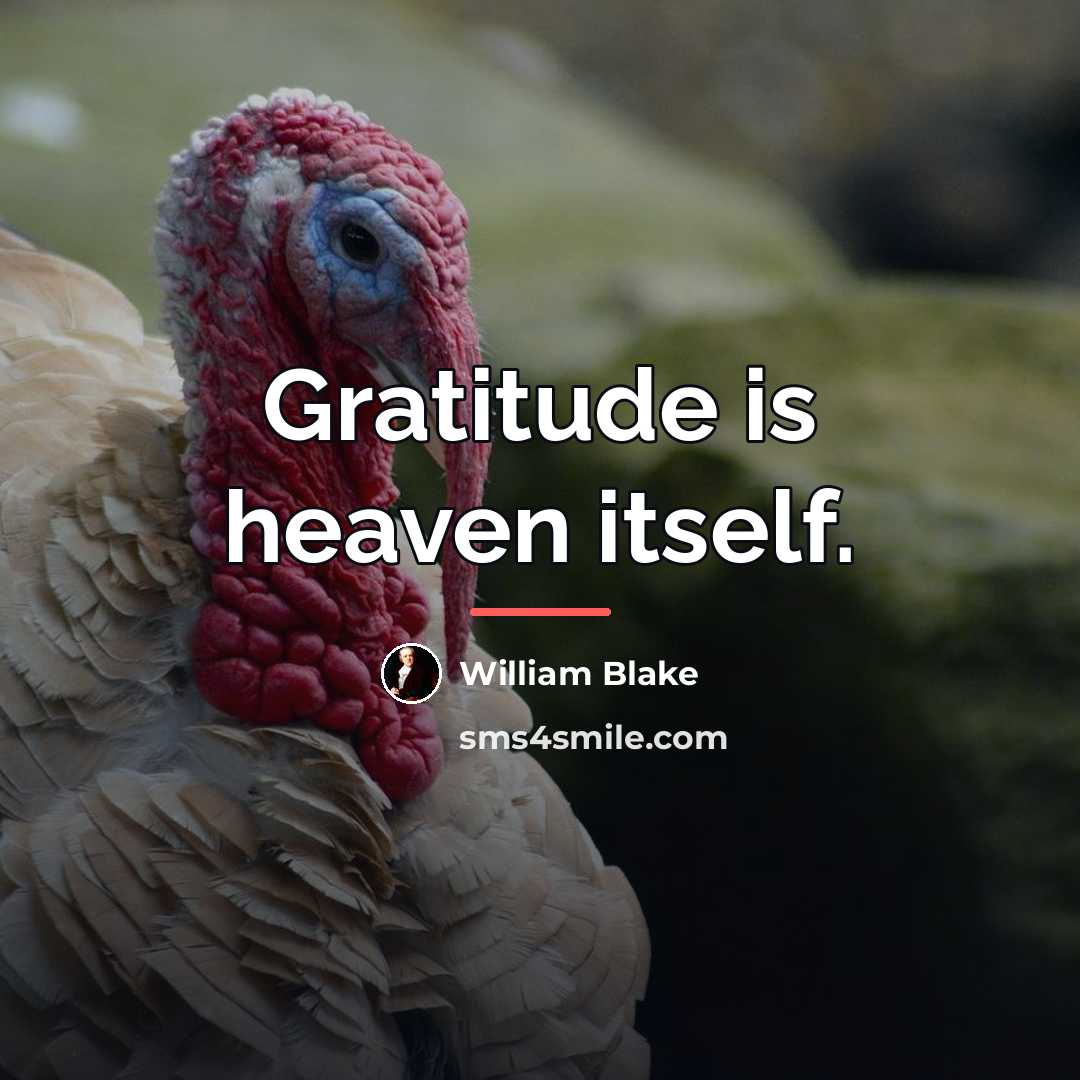 “Gratitude is heaven itself.…” quote by William Blake