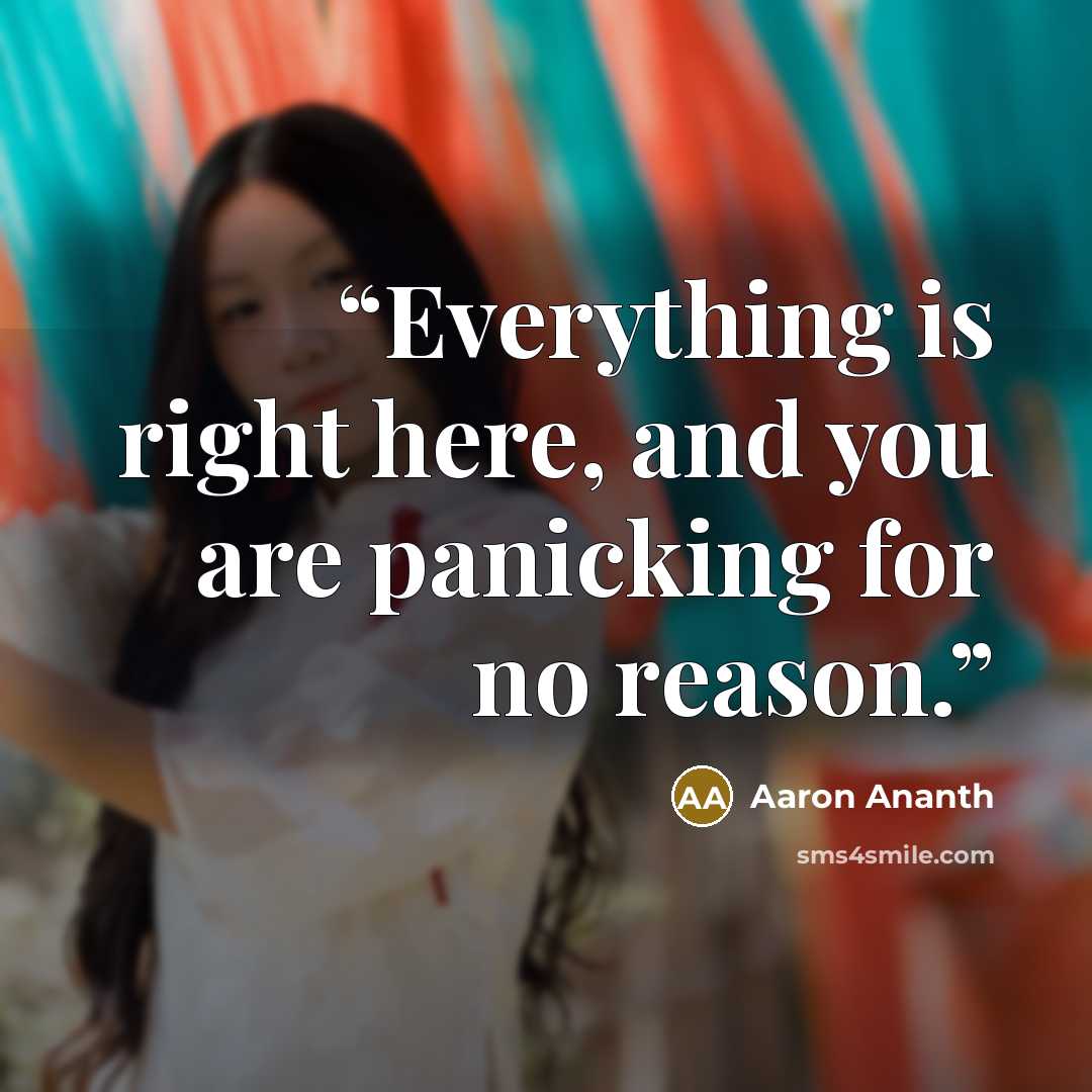 “Everything is right here, and you are panicking for no reason.” quote by Aaron Ananth