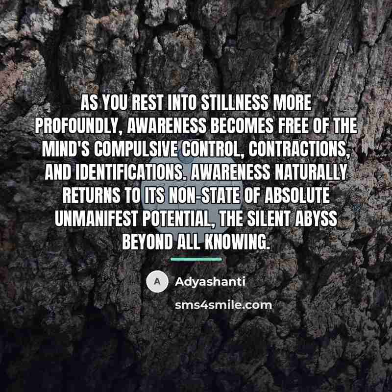 “As you rest into stillness more profoundly, awareness becomes free…” quote by Adyashanti