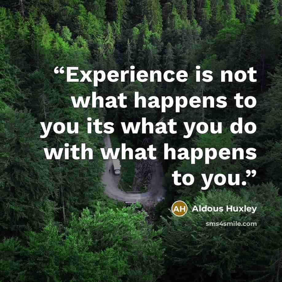 “Experience is not what happens to you its what you do with what happens to you.” quote by Aldous Huxley