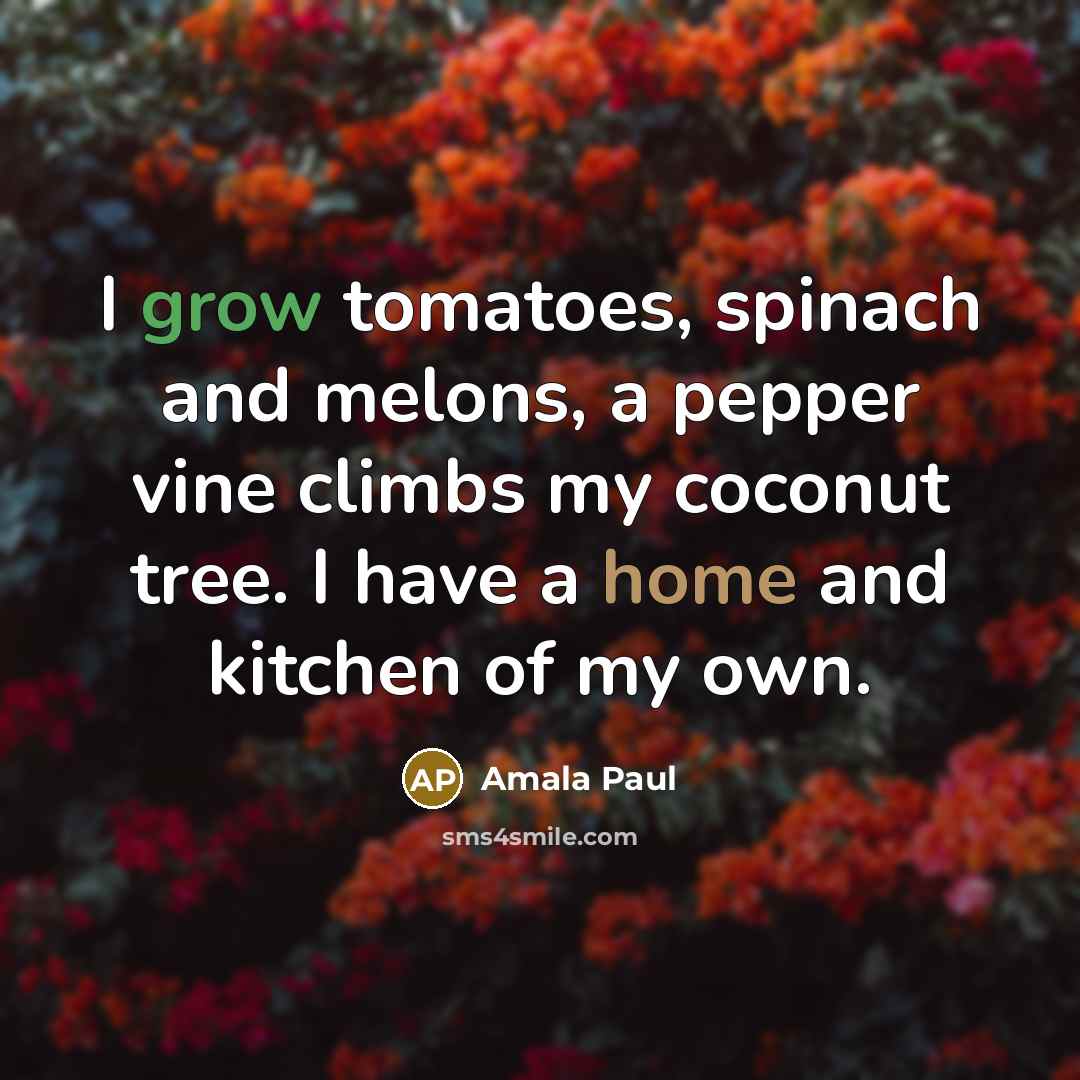 “I grow tomatoes, spinach and melons, a pepper vine climbs my coconut tree. I have a home and kitchen of my own.” quote by Amala Paul