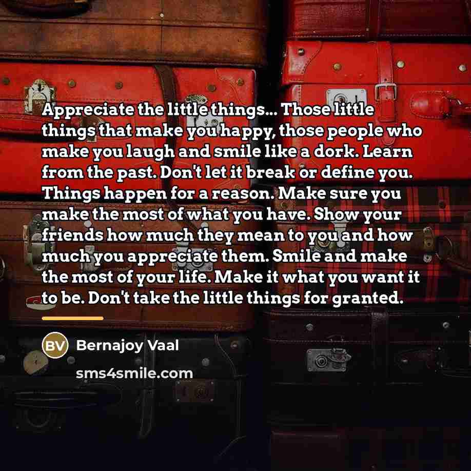 “Appreciate the little things... Those little things that make you…” quote by Bernajoy Vaal