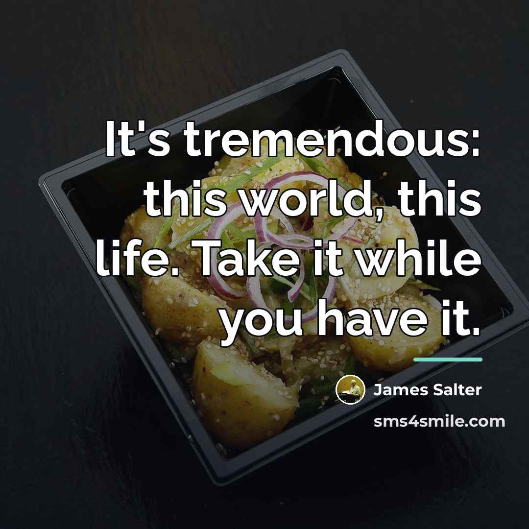 “It's tremendous: this world, this life. Take it while you…” quote by James Salter