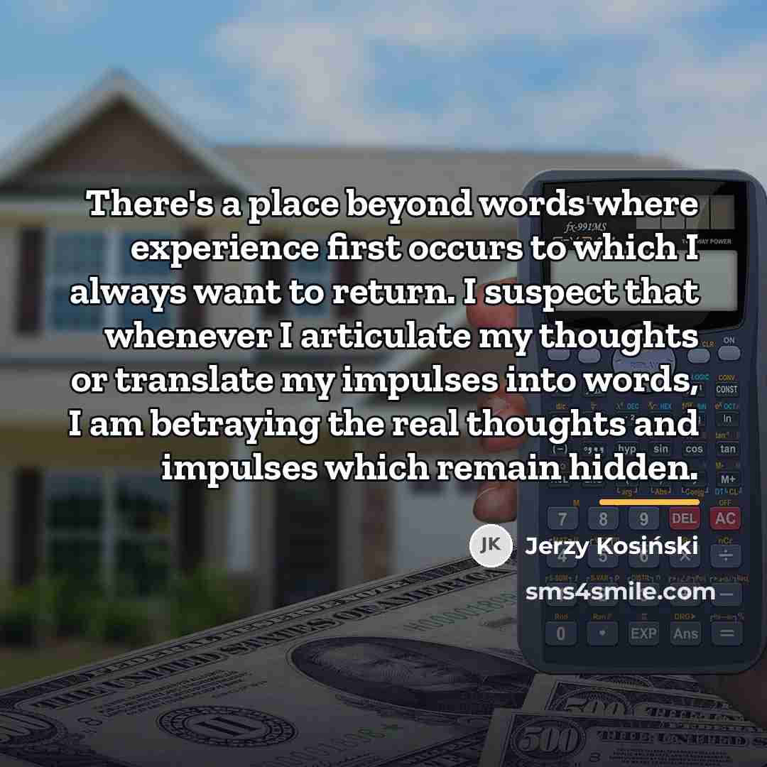 “There's a place beyond words where experience first occurs to…” quote by Jerzy Kosinski