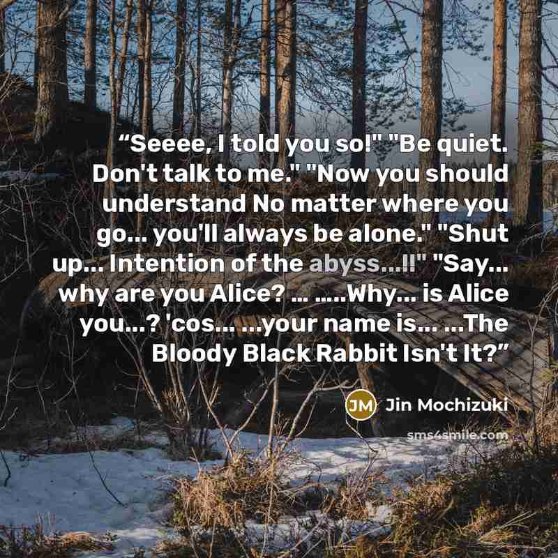 “Seeee, I told you so!" "Be quiet. Don't talk to me." "Now you should understand No matter where you go... you'll always be alone." "Shut up... Intention of the abyss...!!" "Say... why are you Alice? … …..Why... is Alice you...? 'cos... ...your name is... ...The Bloody Black Rabbit Isn't It?” quote by Jin Mochizuki