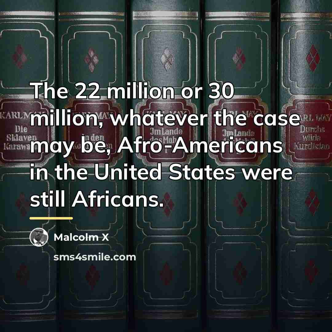 “The 22 million or 30 million, whatever the case may…” quote by Malcolm X
