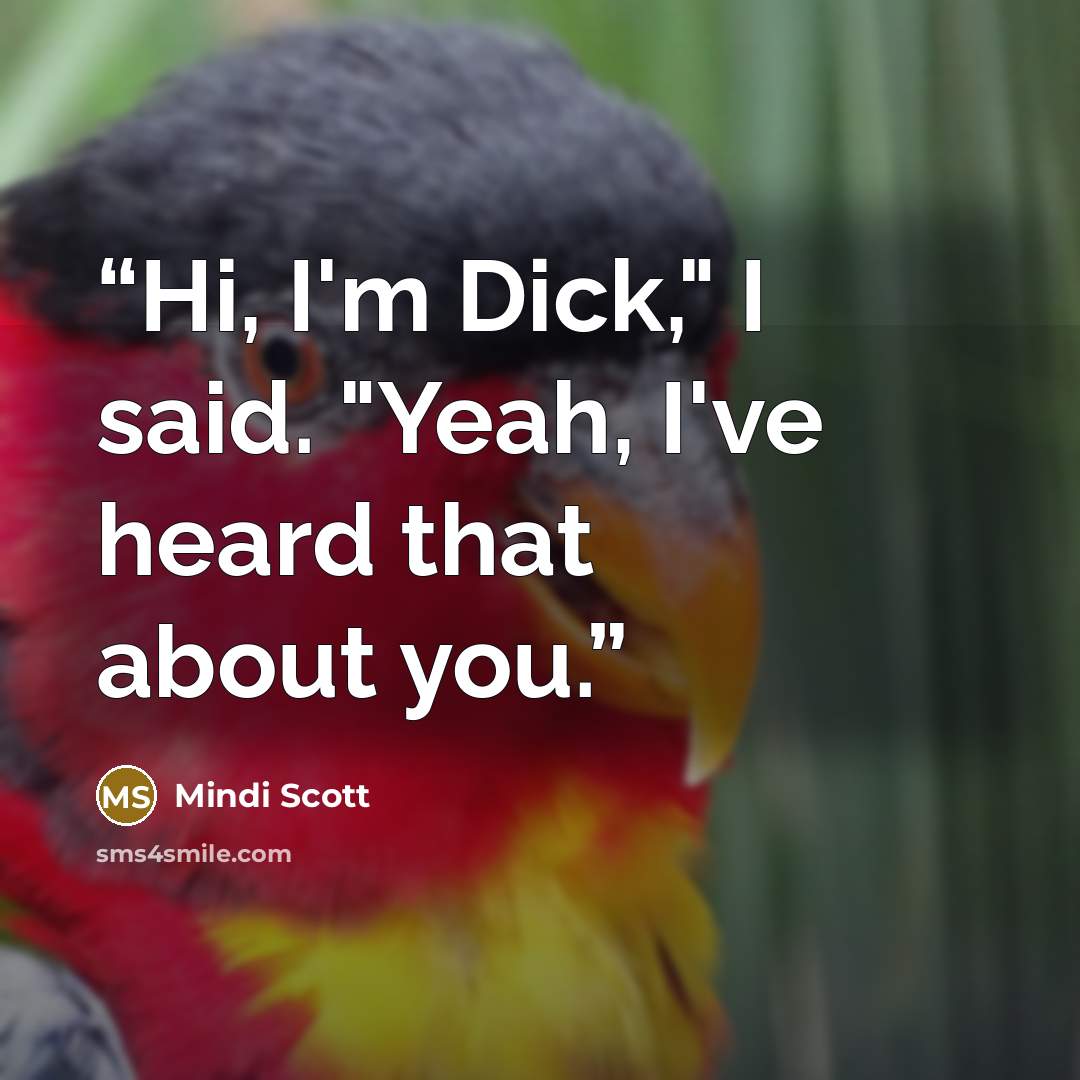 “Hi, I'm Dick," I said. "Yeah, I've heard that about you.” quote by Mindi Scott