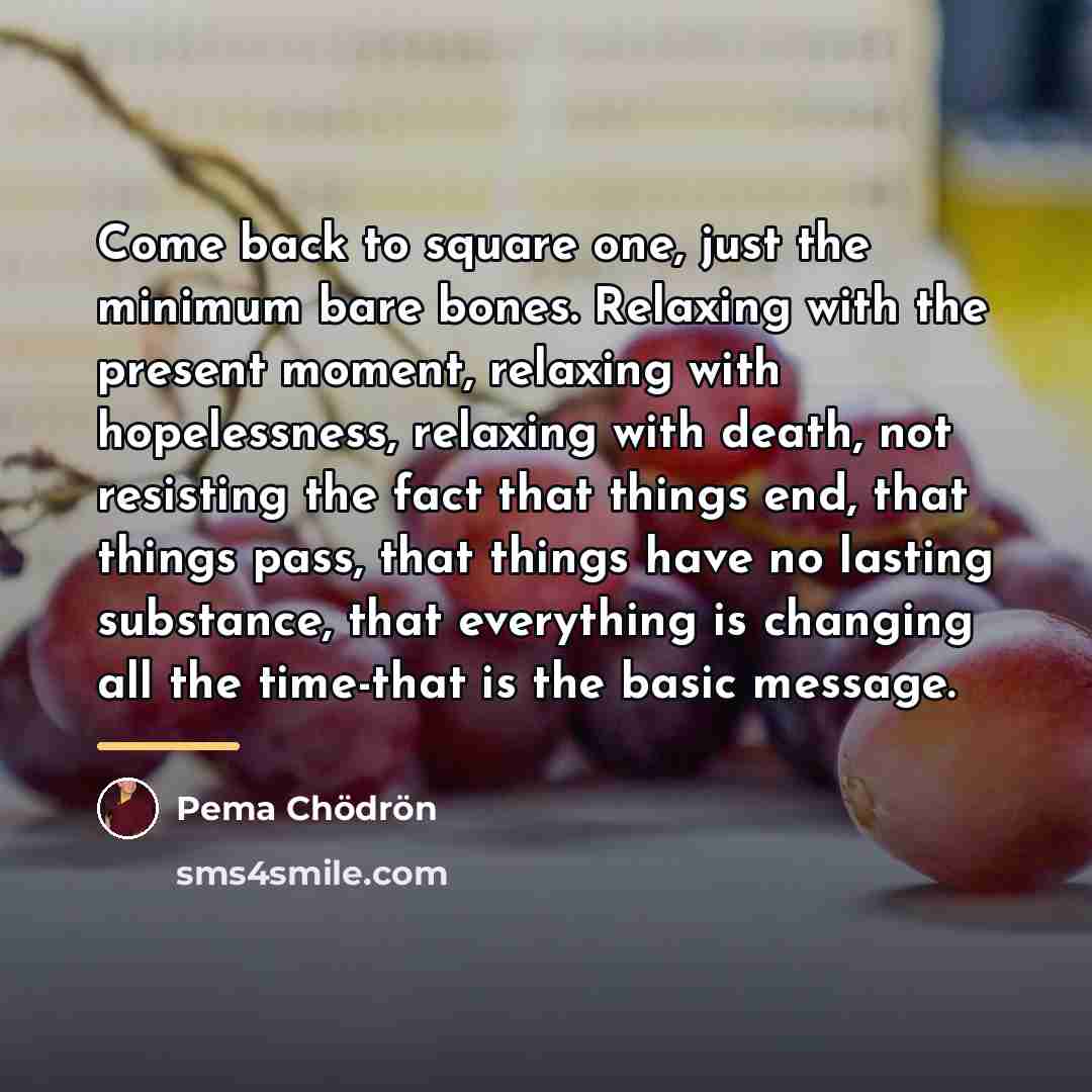 “Come back to square one, just the minimum bare bones.…” quote by Pema Chodron