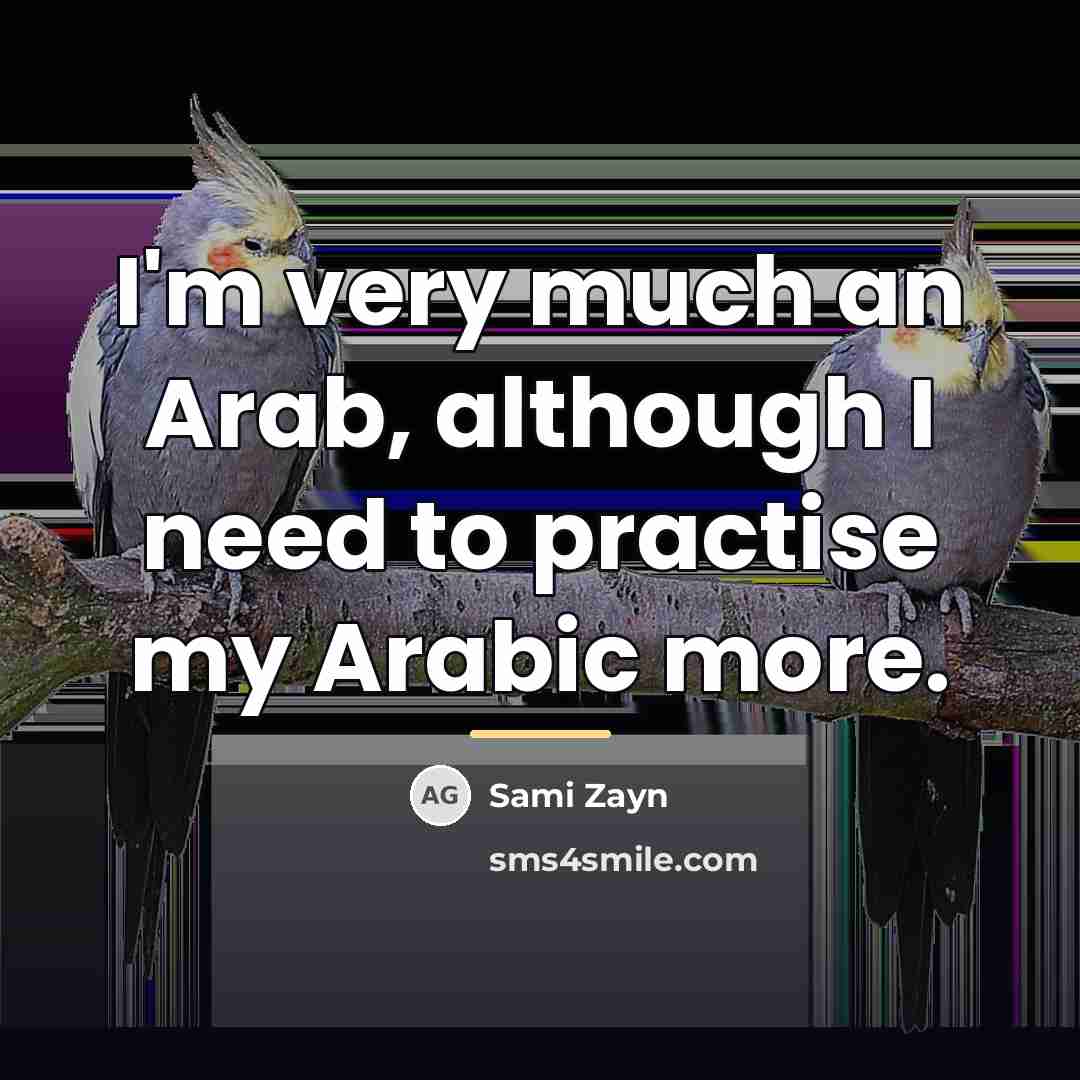 “I'm very much an Arab, although I need to practise…” quote by Sami Zayn