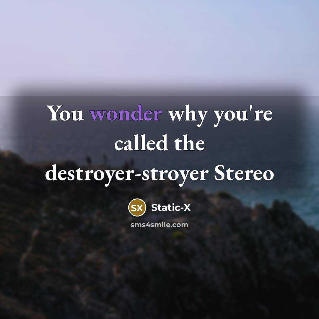 “You wonder why you're called the destroyer-stroyer Stereo…” quote by Static-X
