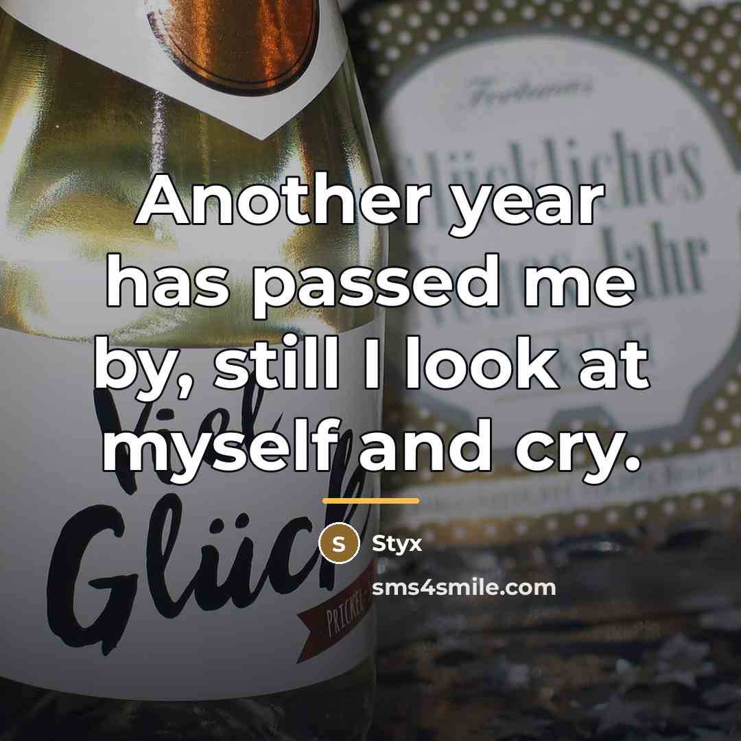 “Another year has passed me by, still I look at…” quote by Styx