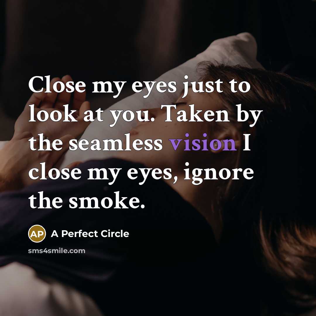 “Close my eyes just to look at you. Taken by…” quote by A Perfect Circle