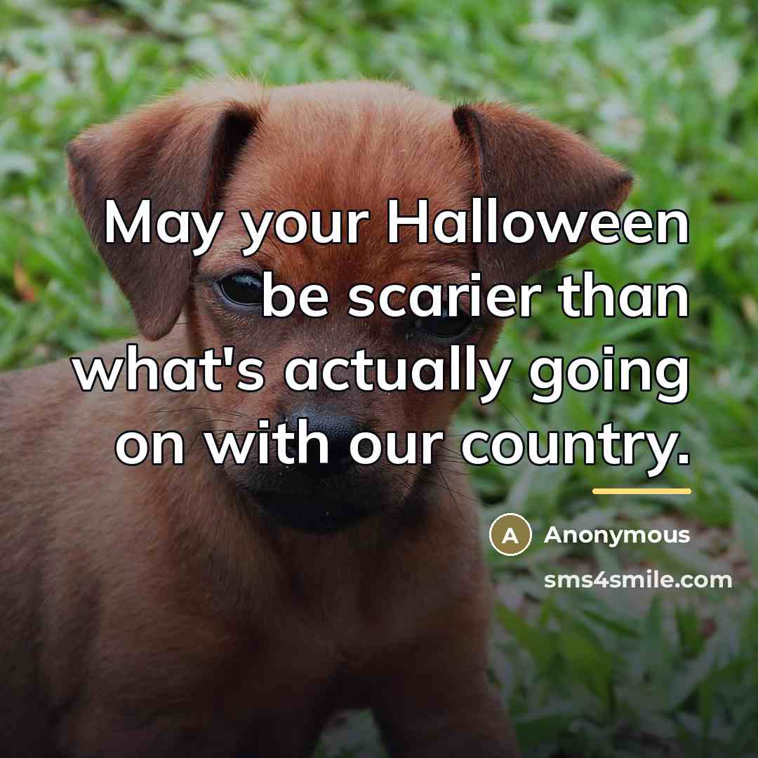 “May your Halloween be scarier than what's actually going on…” quote by Anonymous