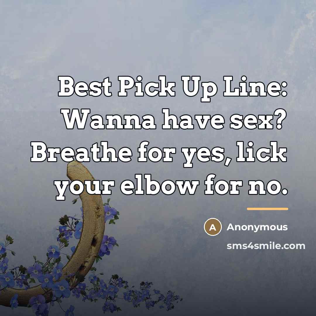 “Best Pick Up Line: Wanna have sex? Breathe for yes,…” quote by Anonymous