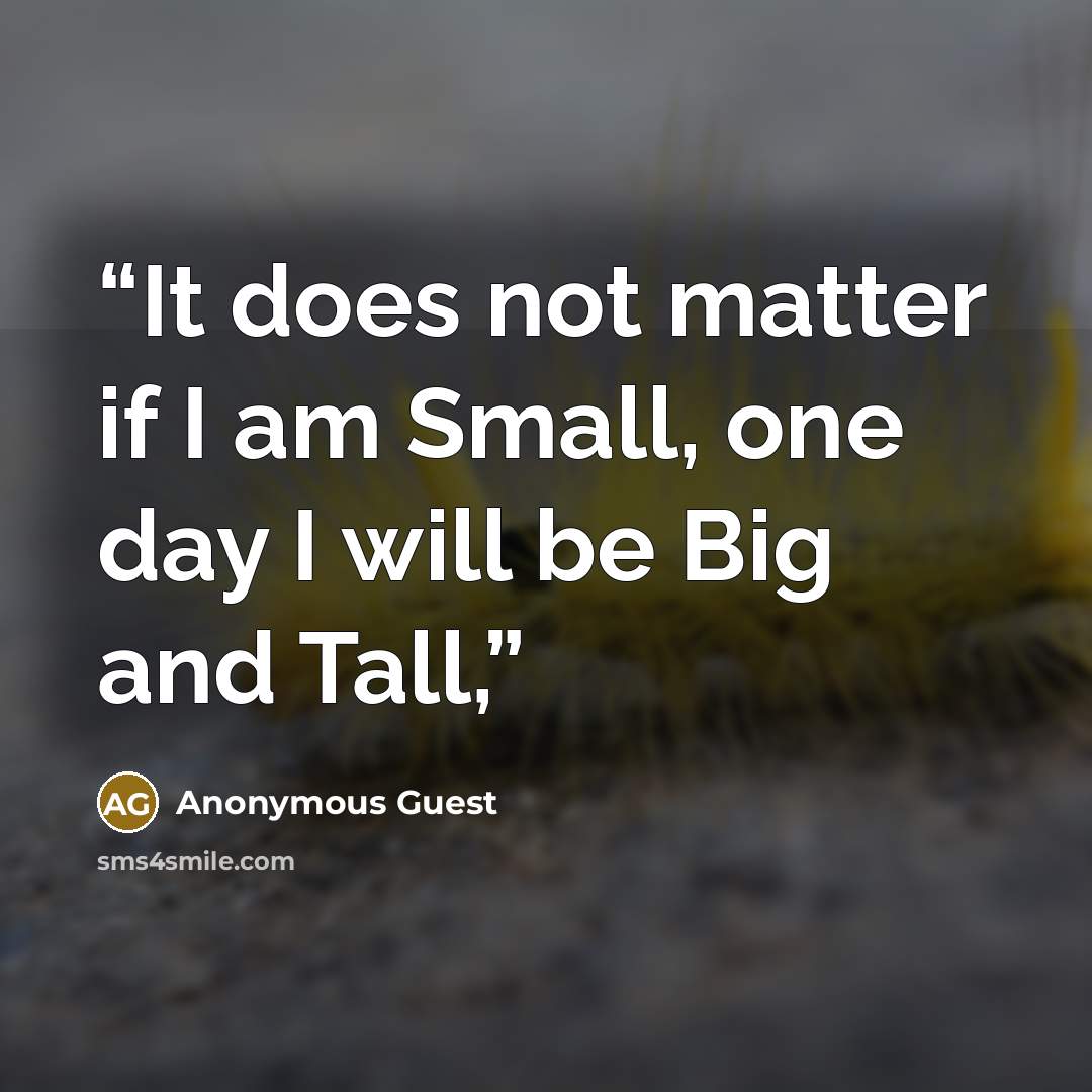 “It does not matter if I am Small, one day I will be Big and Tall,” quote by Anonymous Guest