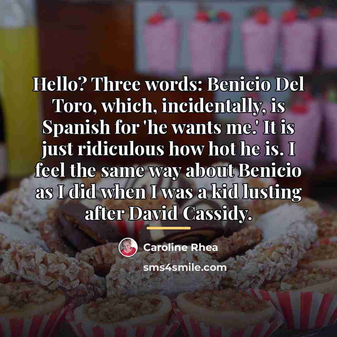 “Hello? Three words: Benicio Del Toro, which, incidentally, is Spanish…” quote by Caroline Rhea
