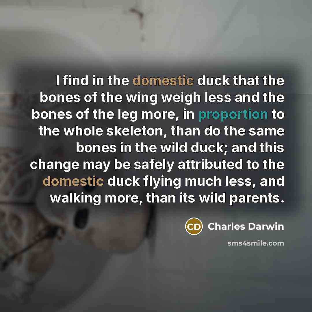 “I find in the domestic duck that the bones of…” quote by Charles Darwin