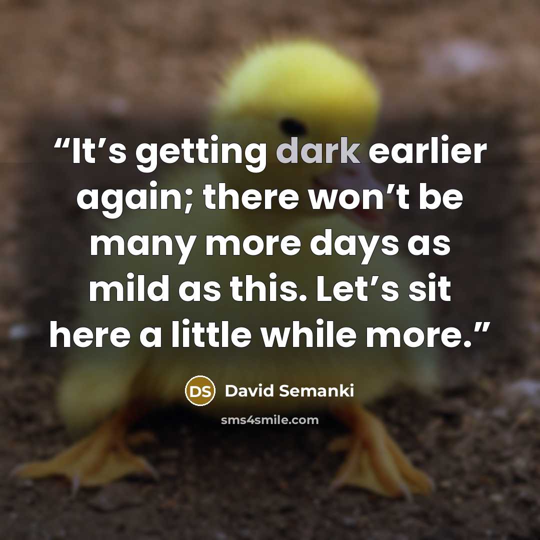 “It’s getting dark earlier again; there won’t be many more days as mild as this. Let’s sit here a little while more.” quote by David Semanki