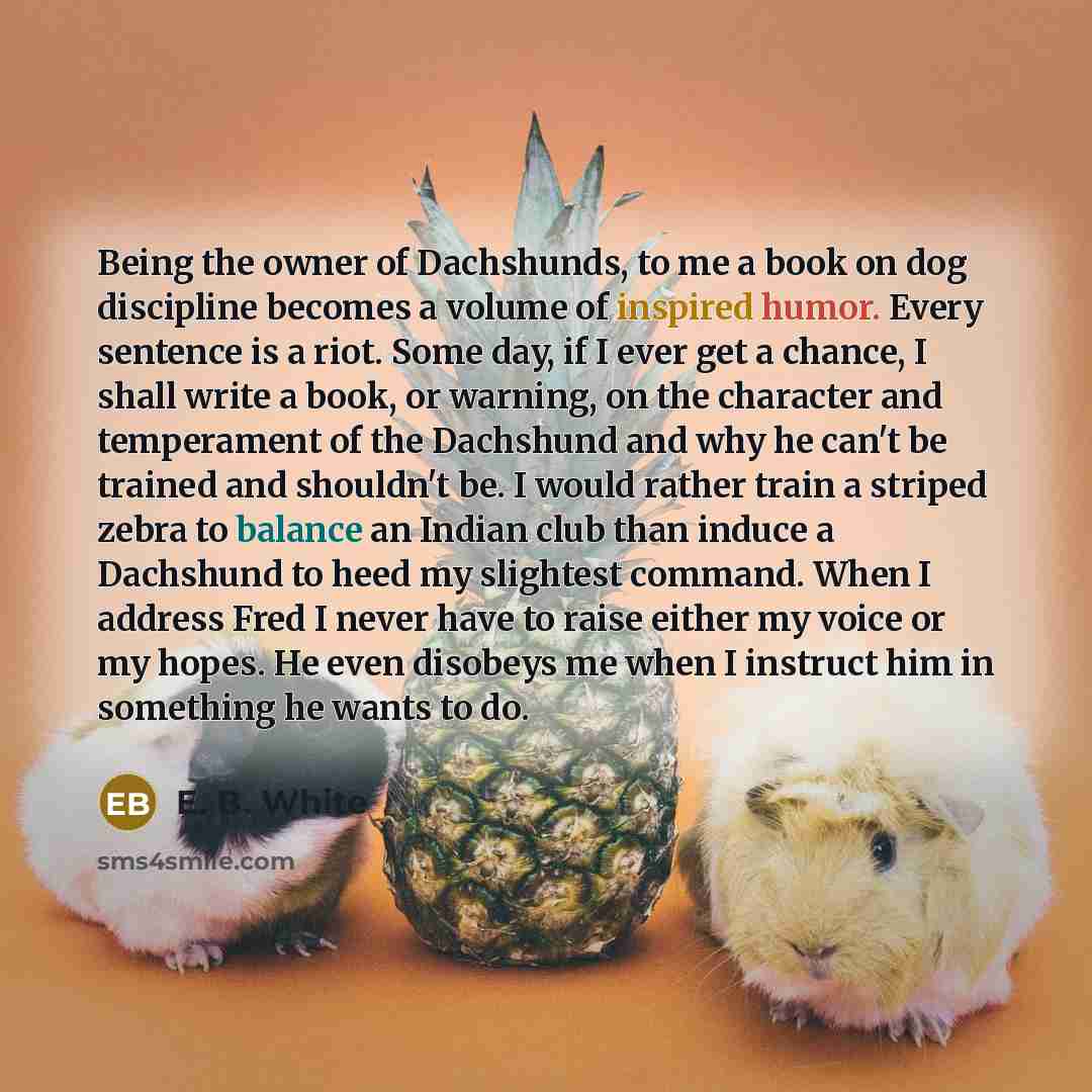 “Being the owner of Dachshunds, to me a book on…” quote by E. B. White