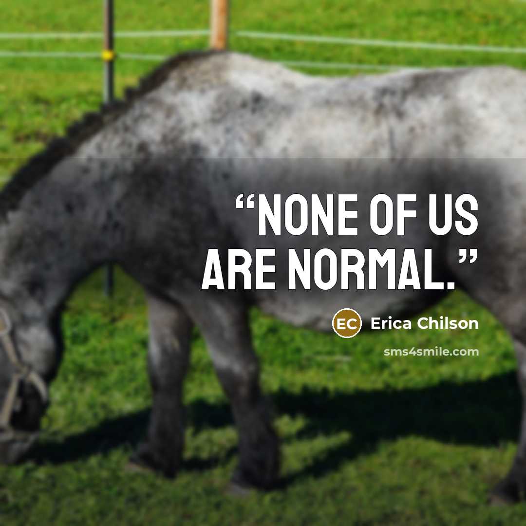 “None of us are normal.” quote by Erica Chilson