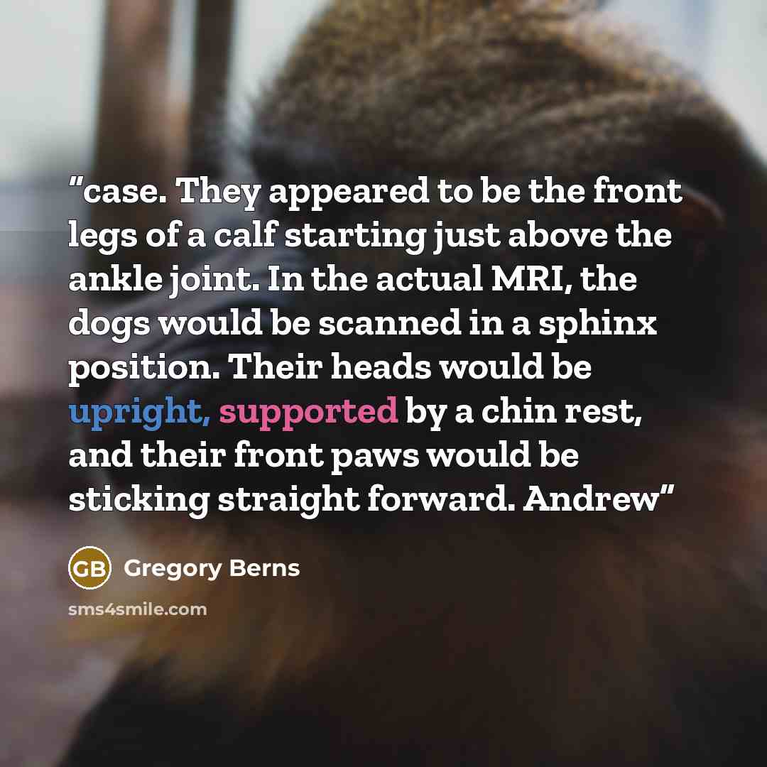 “case. They appeared to be the front legs of a calf starting just above the ankle joint. In the actual MRI, the dogs would be scanned in a sphinx position. Their heads would be upright, supported by a chin rest, and their front paws would be sticking straight forward. Andrew” quote by Gregory Berns