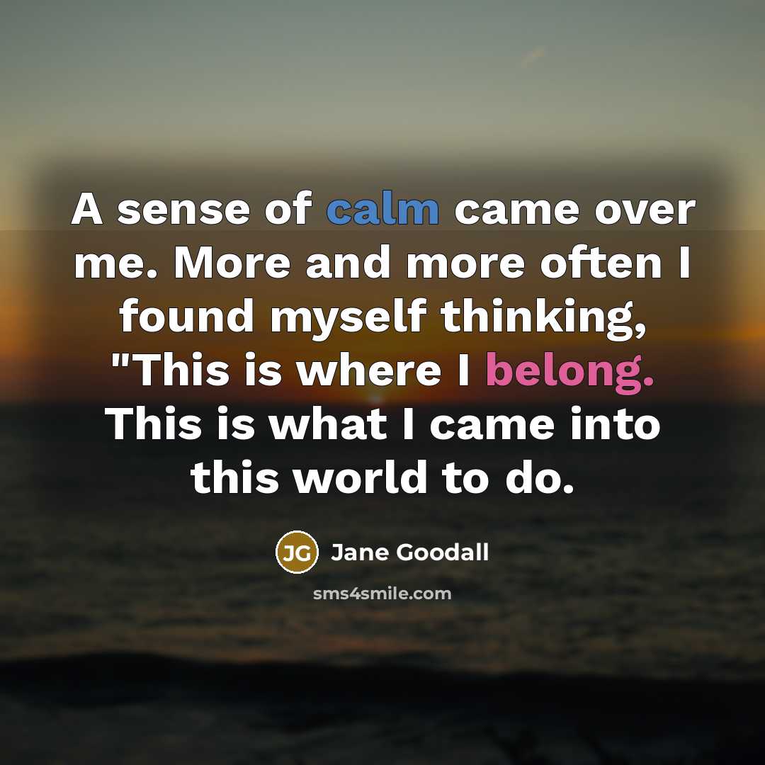 “A sense of calm came over me. More and more often I found myself thinking, "This is where I belong. This is what I came into this world to do.” quote by Jane Goodall