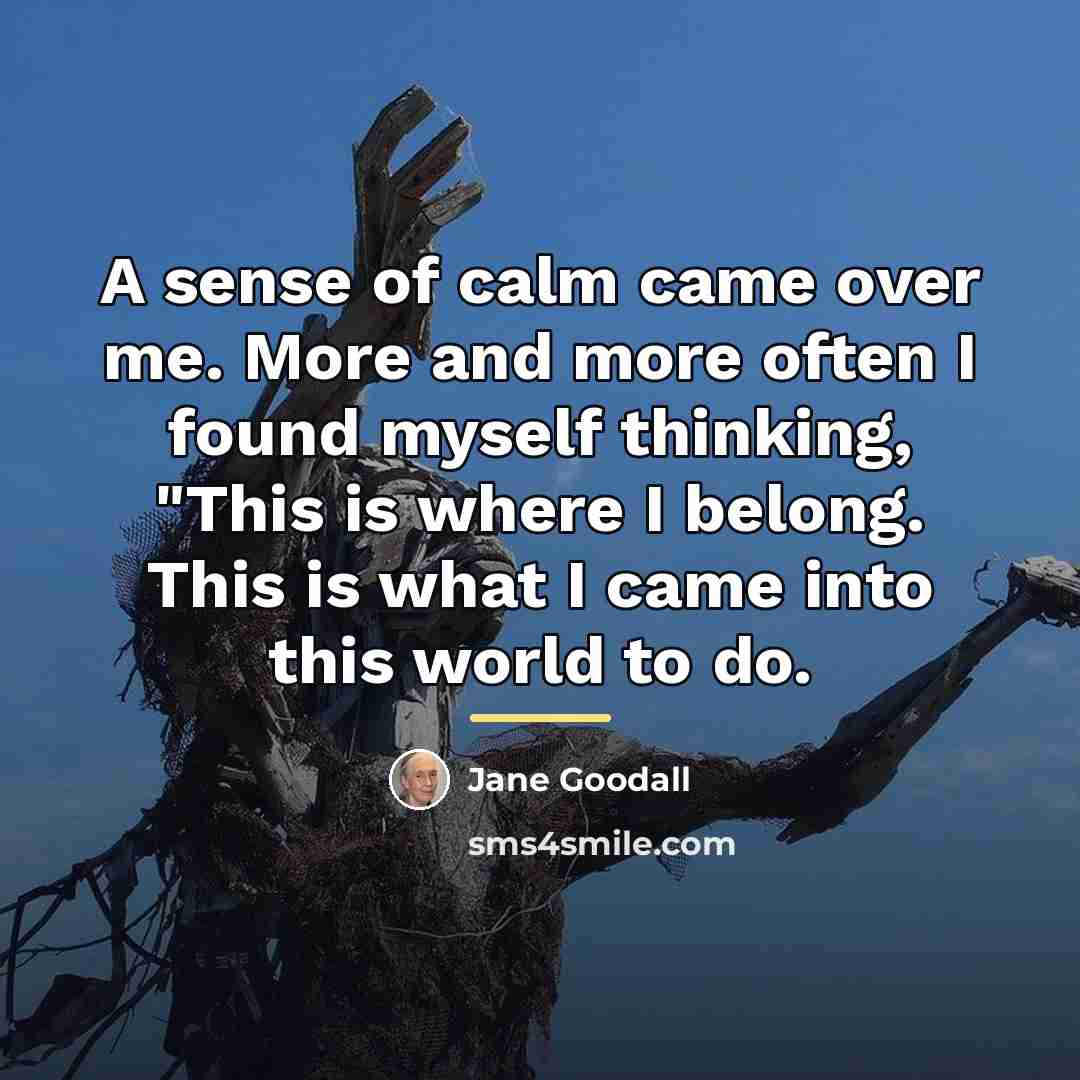 “A sense of calm came over me. More and more…” quote by Jane Goodall