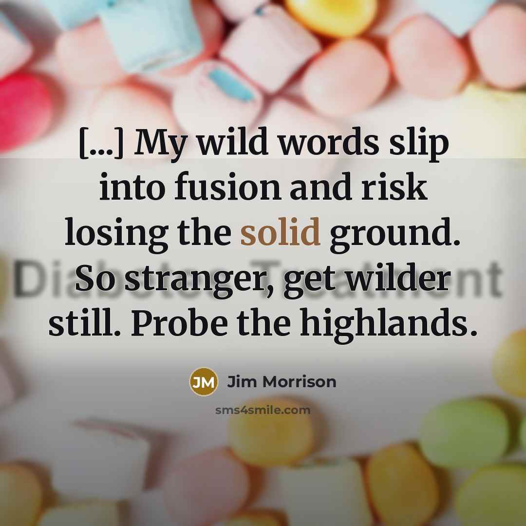 “[...] My wild words slip into fusion and risk losing…” quote by Jim Morrison