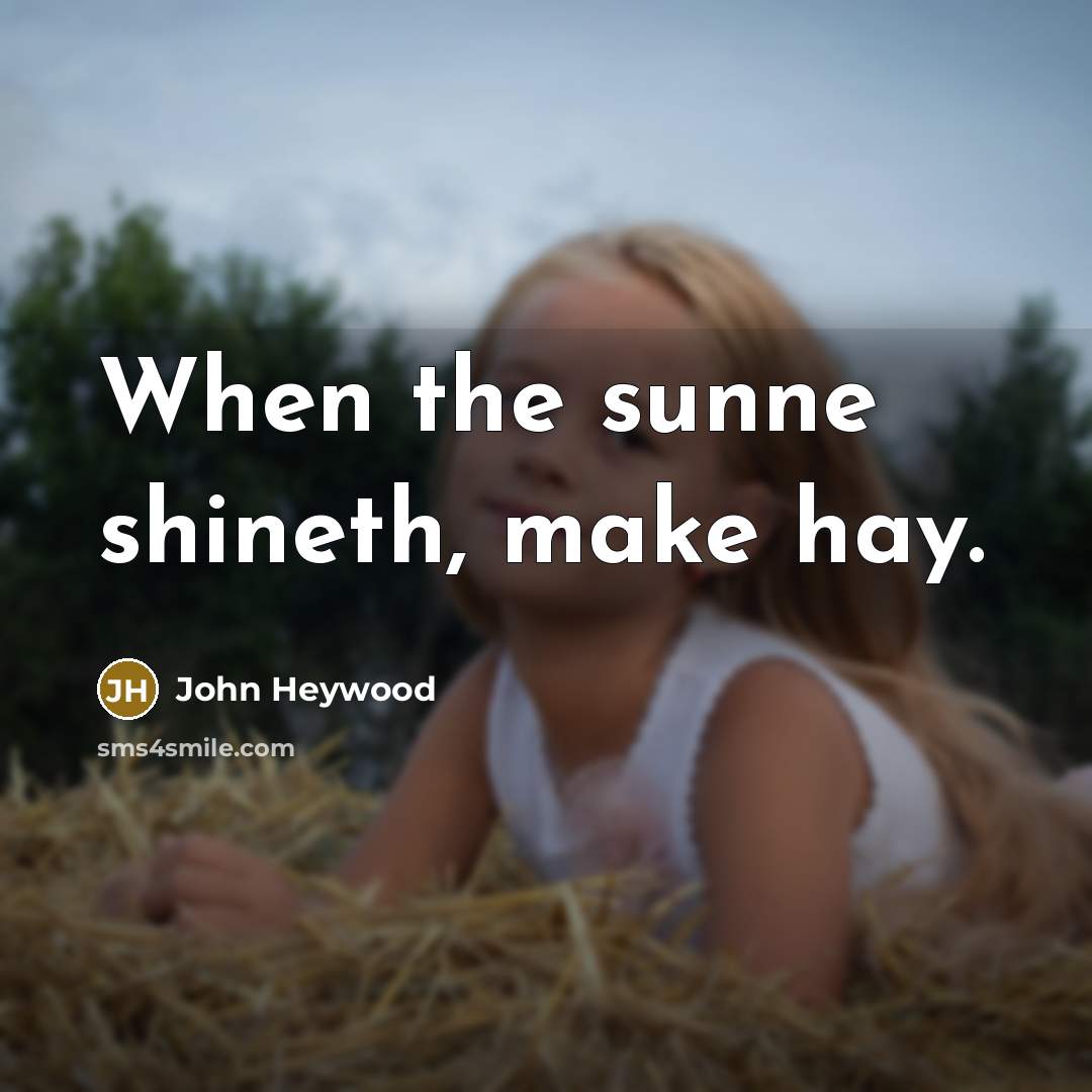 “When the sunne shineth, make hay.…” quote by John Heywood