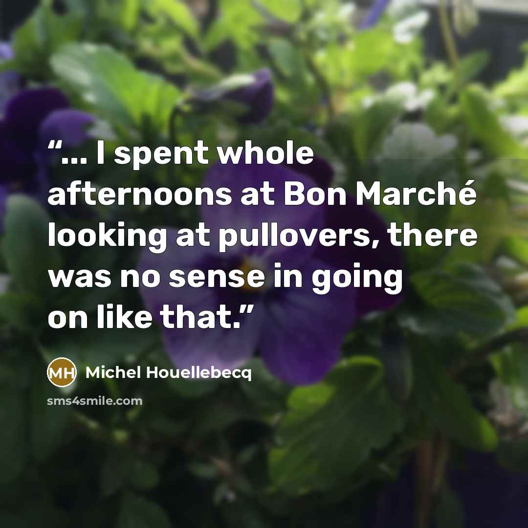 “... I spent whole afternoons at Bon Marché looking at pullovers, there was no sense in going on like that.” quote by Michel Houellebecq