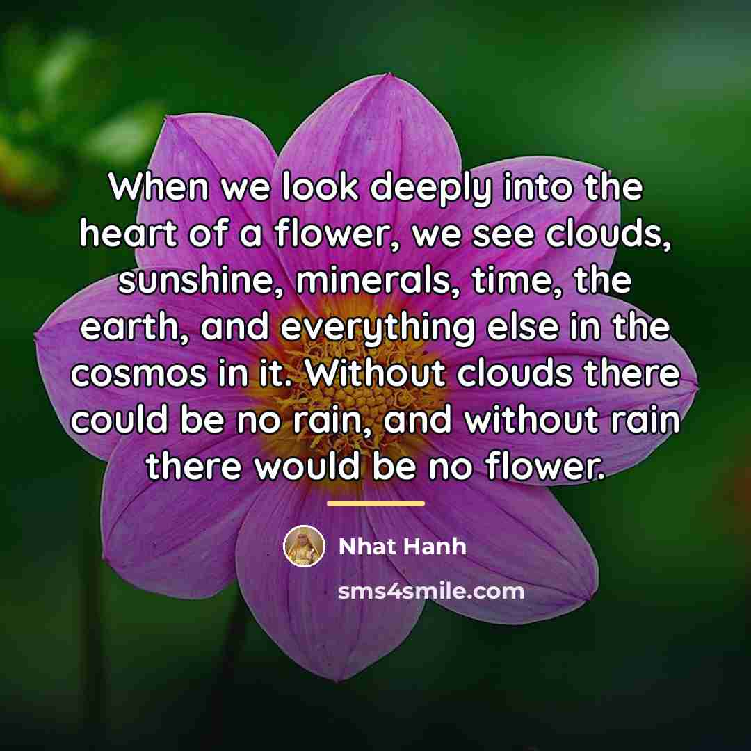 “When we look deeply into the heart of a flower,…” quote by Nhat Hanh