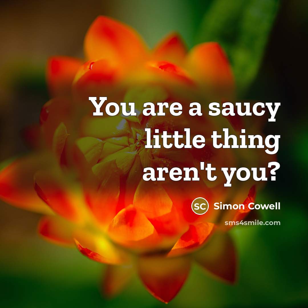 “You are a saucy little thing aren't you?…” quote by Simon Cowell