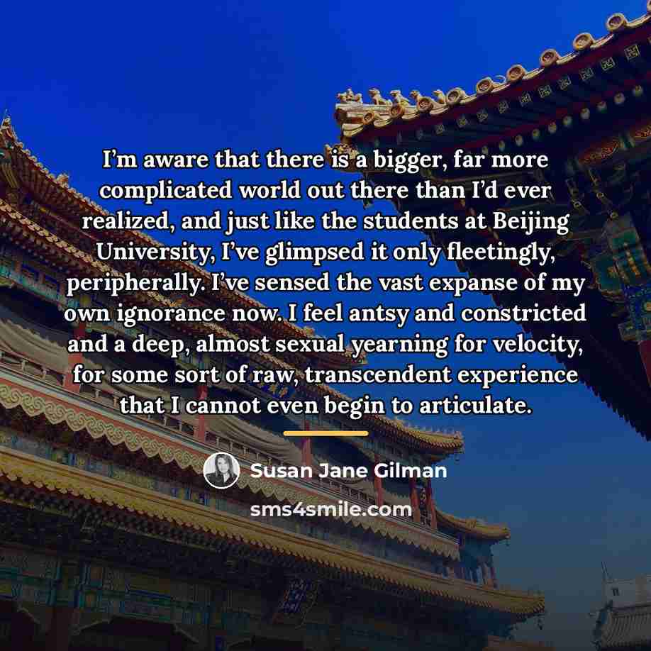 “I’m aware that there is a bigger, far more complicated…” quote by Susan Jane Gilman