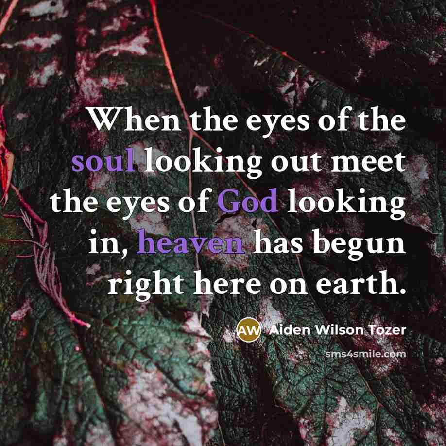 “When the eyes of the soul looking out meet the…” quote by Aiden Wilson Tozer