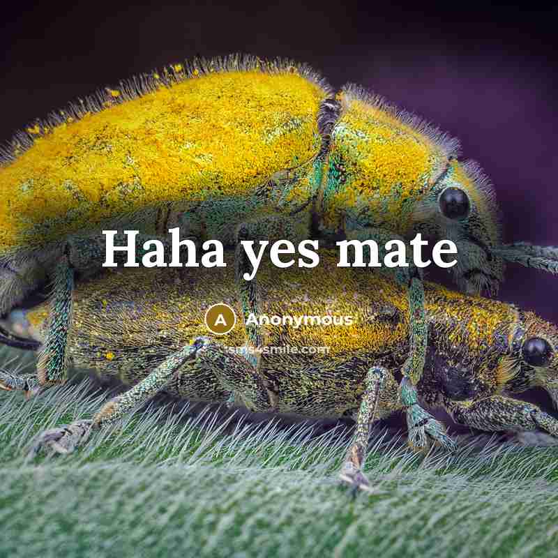 “Haha yes mate” quote by Anonymous