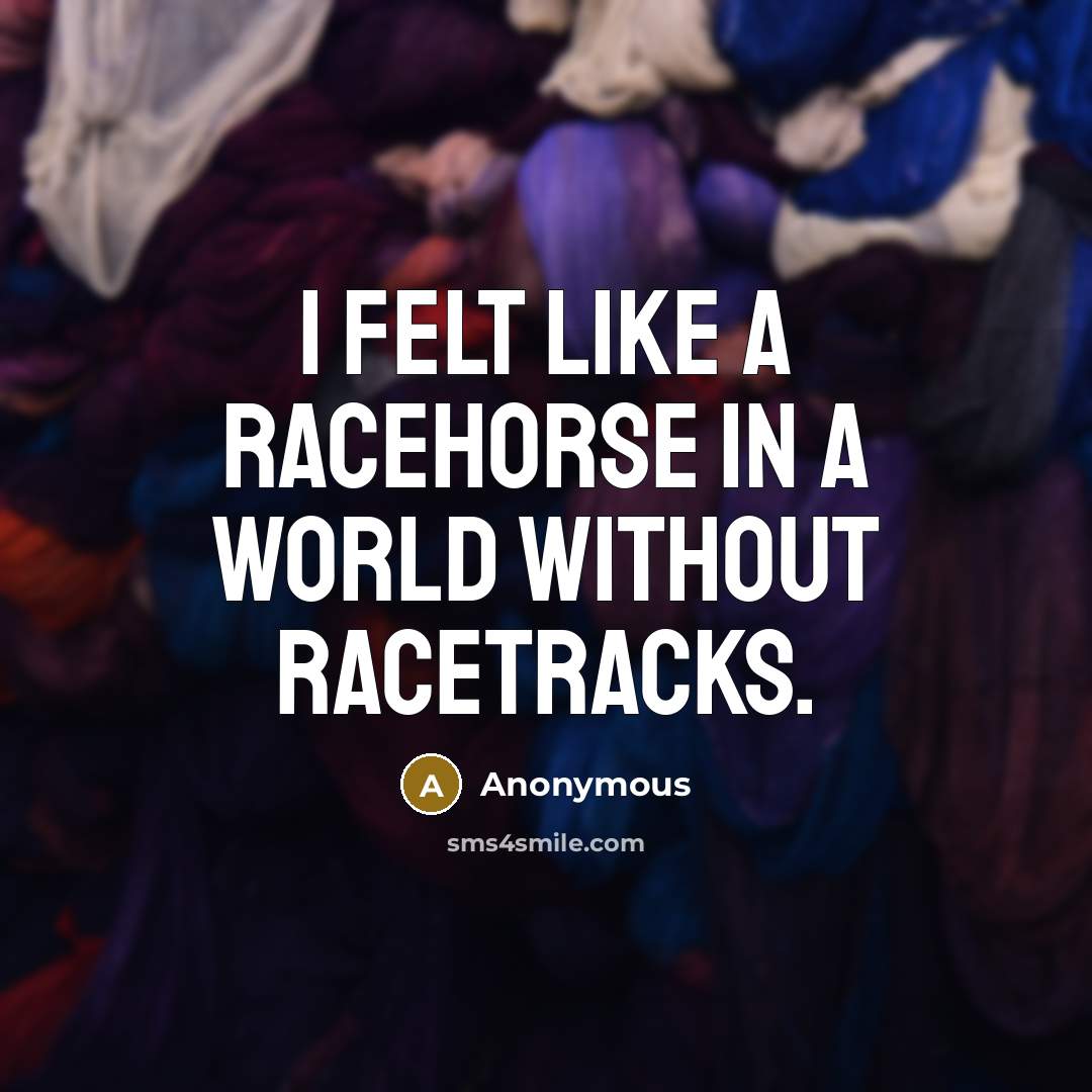 “I felt like a racehorse in a world without racetracks.…” quote by Anonymous