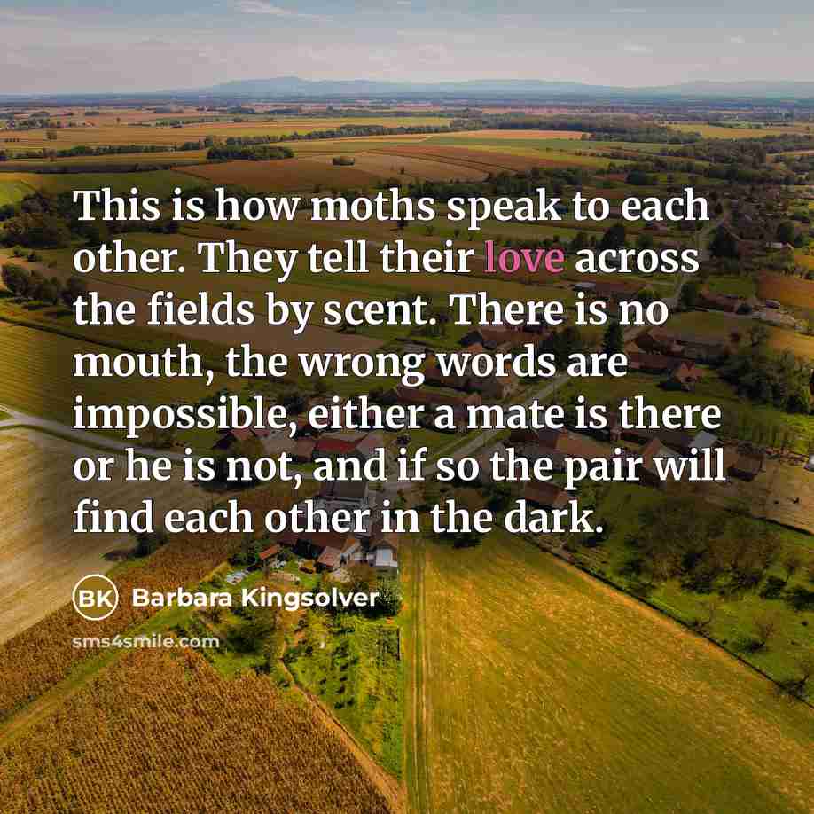 “This is how moths speak to each other. They tell…” quote by Barbara Kingsolver