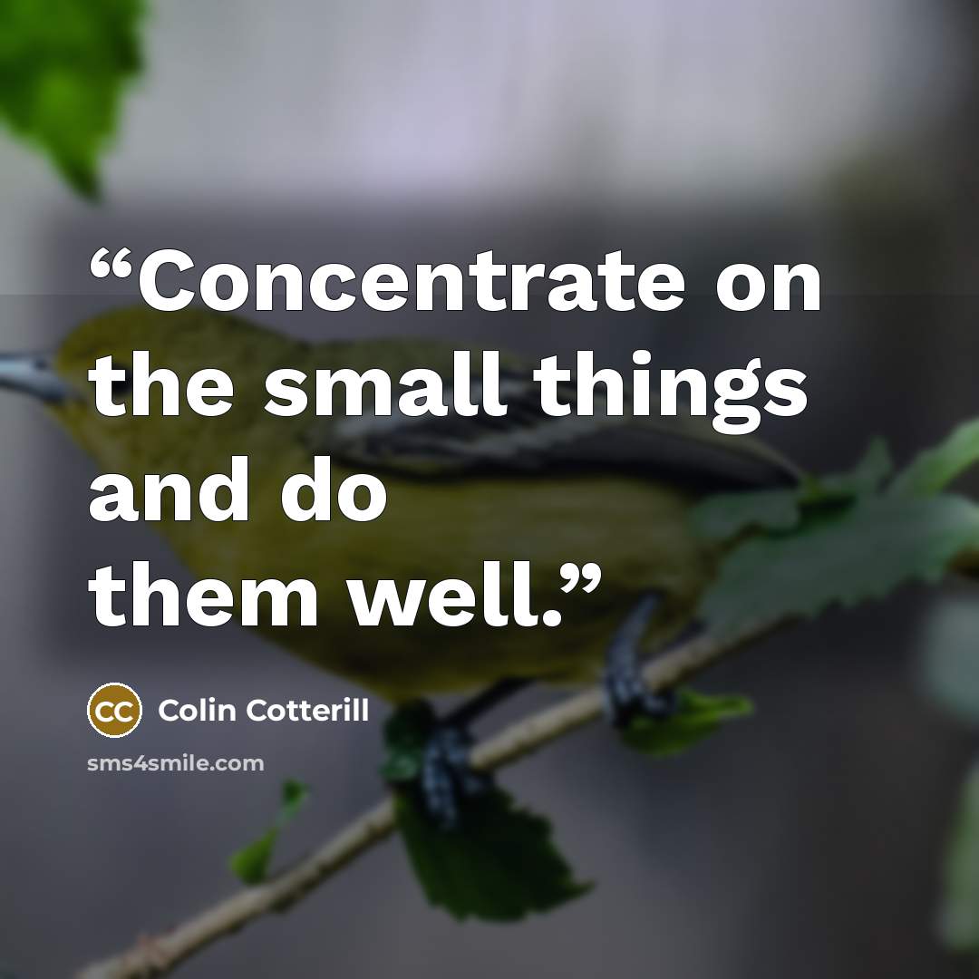 “Concentrate on the small things and do them well.” quote by Colin Cotterill