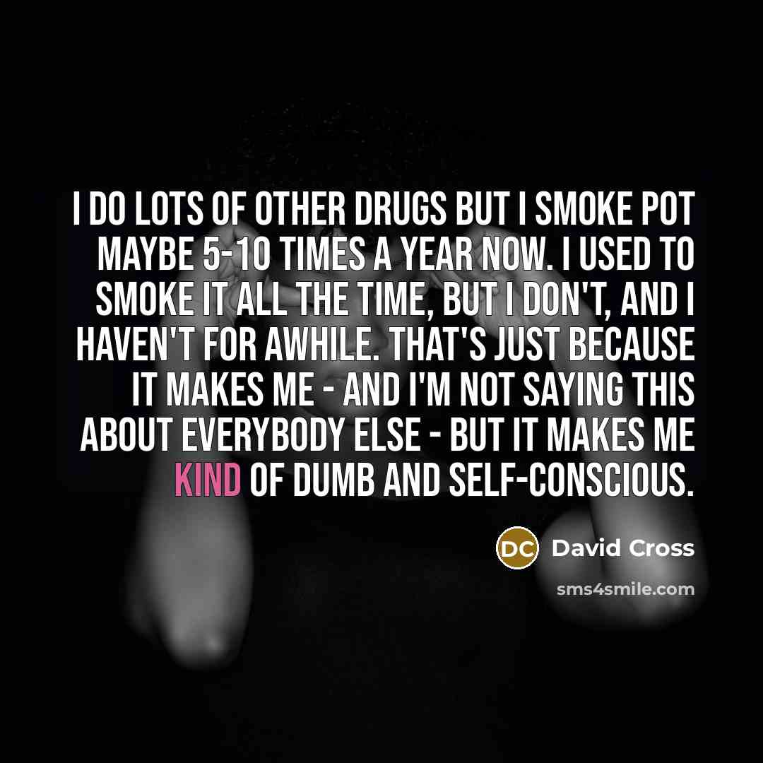 “I do lots of other drugs but I smoke pot…” quote by David Cross