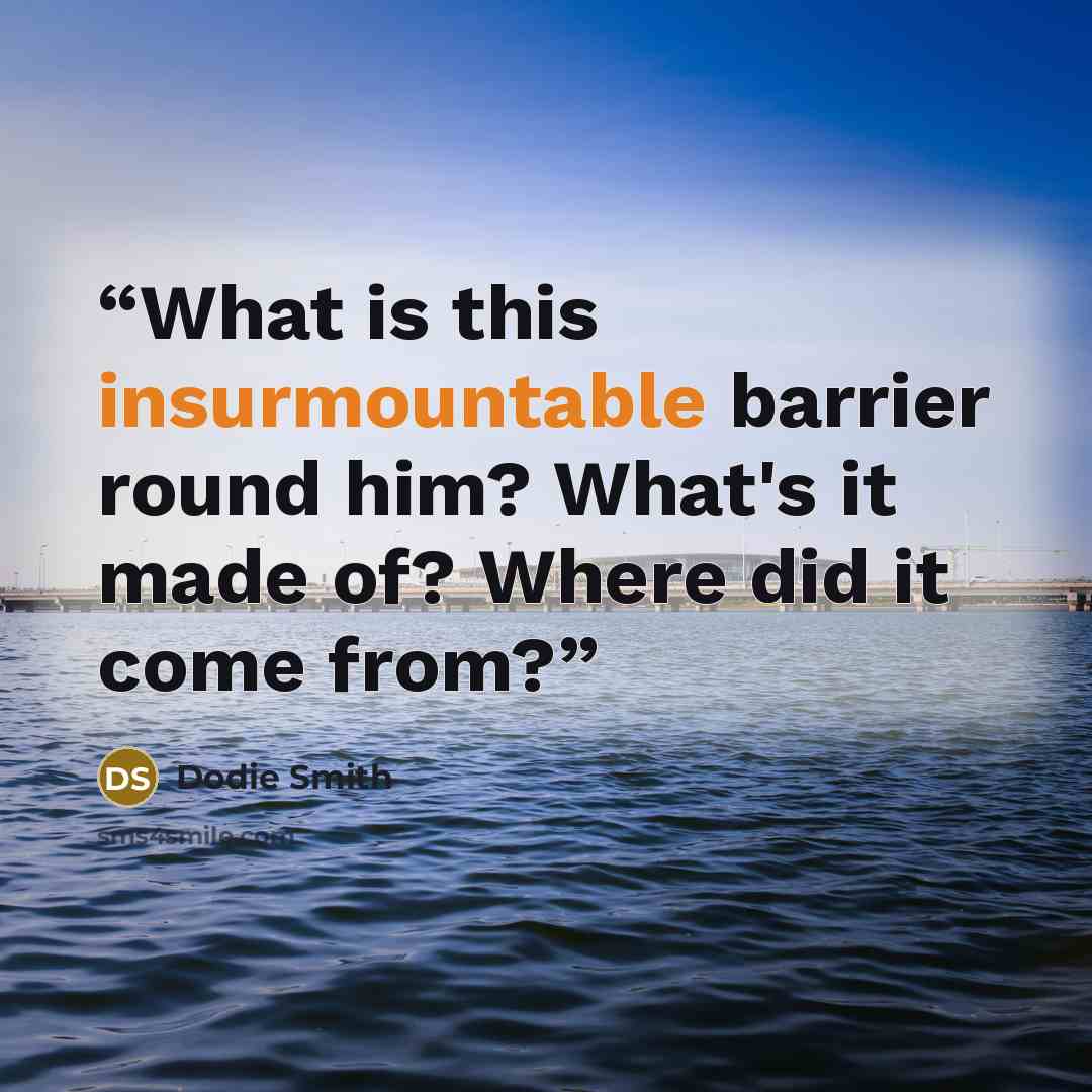“What is this insurmountable barrier round him? What's it made of? Where did it come from?” quote by Dodie Smith