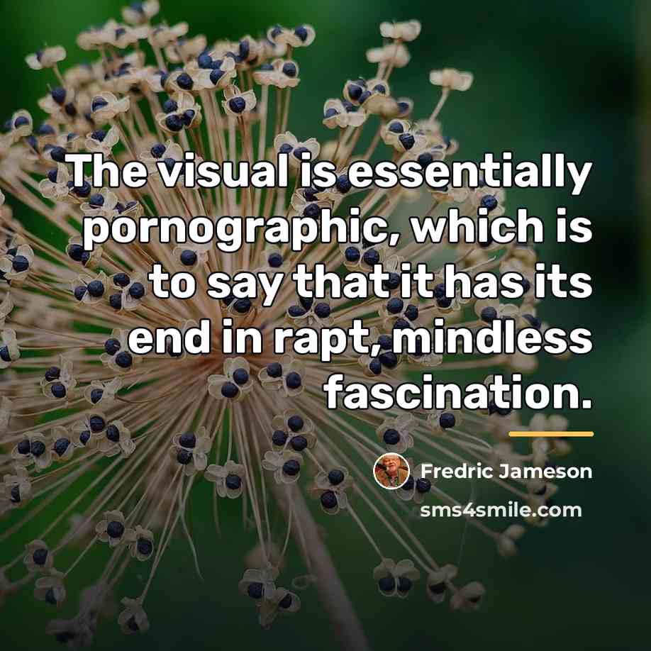 “The visual is essentially pornographic, which is to say that…” quote by Fredric Jameson