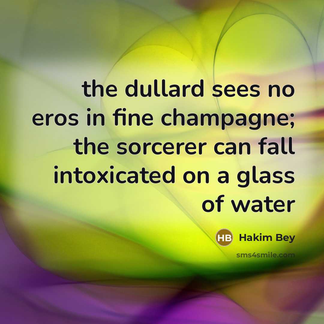 “the dullard sees no eros in fine champagne; the sorcerer…” quote by Hakim Bey