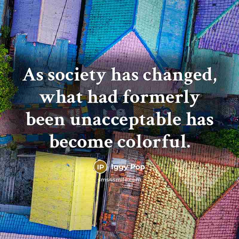 “As society has changed, what had formerly been unacceptable has…” quote by Iggy Pop