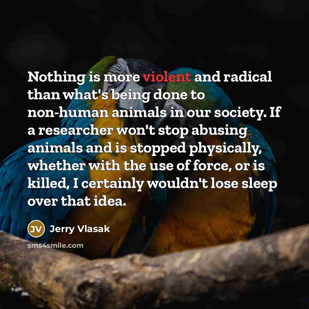 “Nothing is more violent and radical than what's being done…” quote by Jerry Vlasak