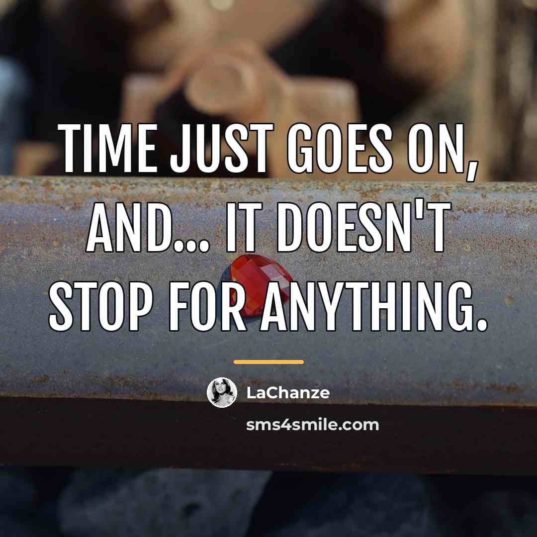 “Time just goes on, and... it doesn't stop for anything.…” quote by LaChanze
