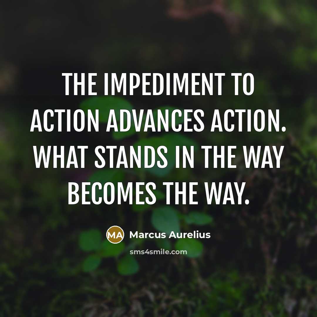“The impediment to action advances action. What stands in the…” quote by Marcus Aurelius